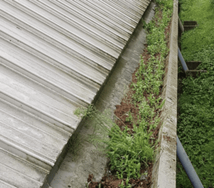 Happy customers in Hoddesdon who trust The Roof Moss Cleaners for gutter cleaning services